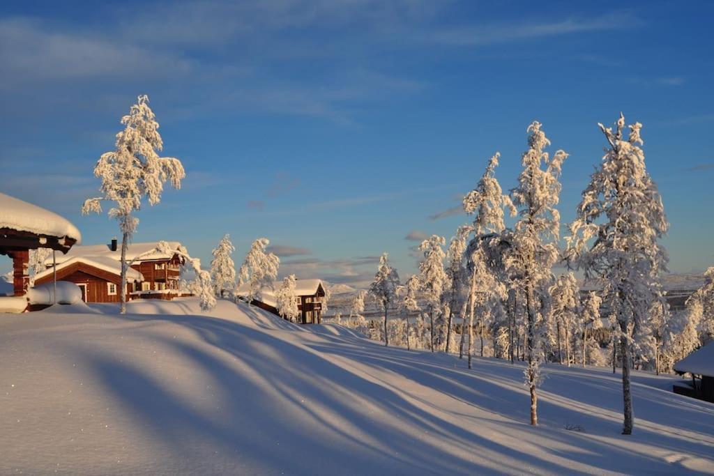 Flott Fritidsleilighet I Bualie Pa Golsfjellet Exterior foto