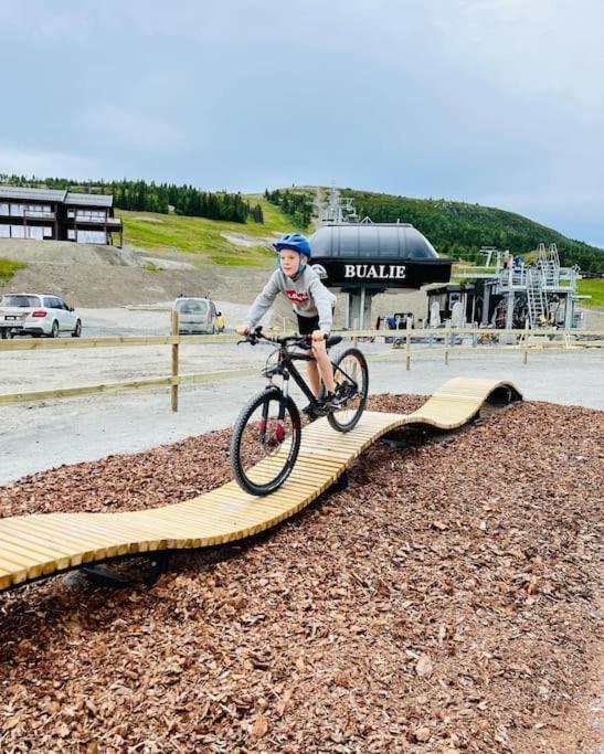 Flott Fritidsleilighet I Bualie Pa Golsfjellet Exterior foto