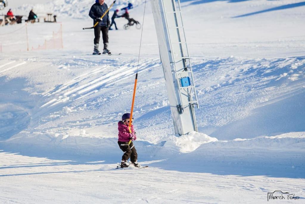 Flott Fritidsleilighet I Bualie Pa Golsfjellet Exterior foto